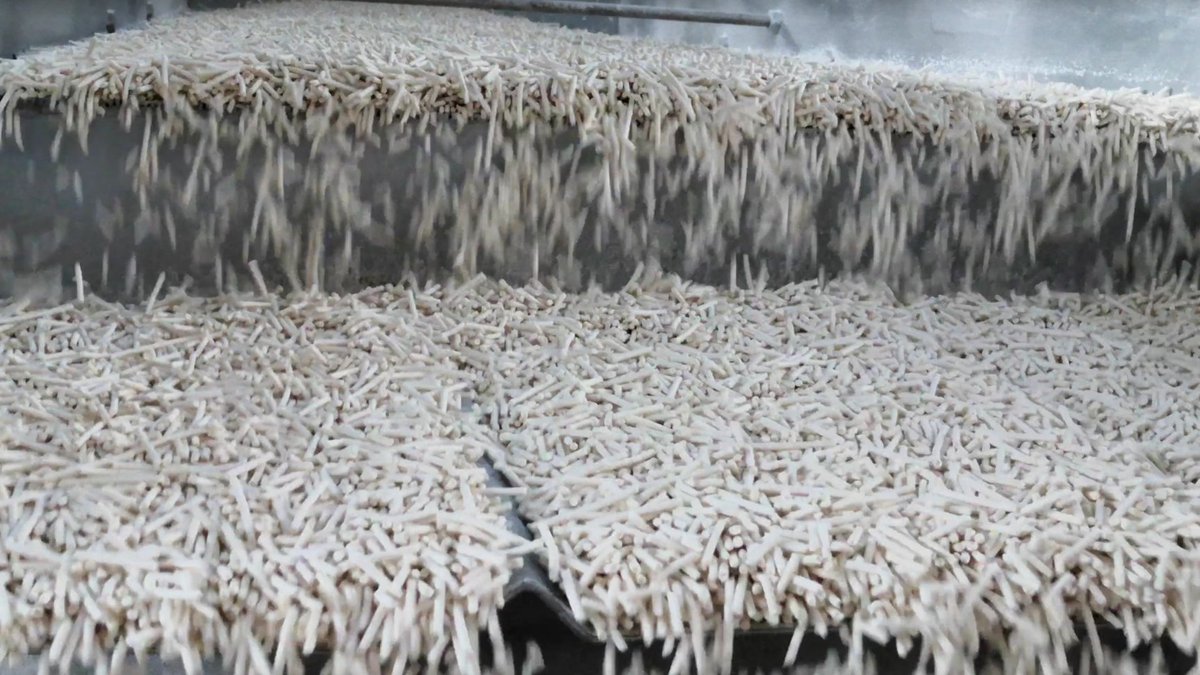 Tofu cat litter production line at Gormeet factory