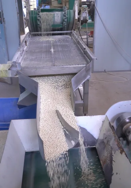 Granulation process for new product development